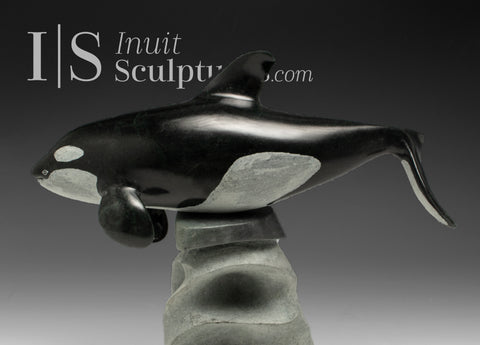 10" SIGNATURE Orca by Derrald Taylor *Europa*