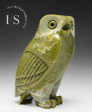 DERNIER HIBOU 6" SIGNATURE Owl par Pits Qimirpik (1968 -2024) *Ghost Busters "Slimer"*