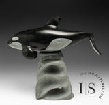 10" SIGNATURE Orca by Derrald Taylor *Europa*