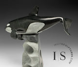 10" SIGNATURE Orca by Derrald Taylor *Europa*