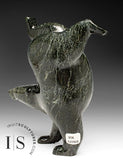 8” SIGNATURE Diving Bear by Tim Pee *Run Forest, Run*