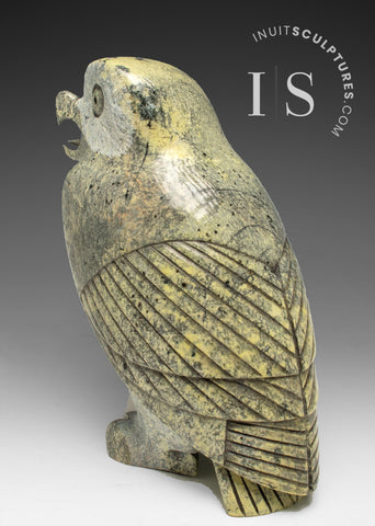 VERY LAST ONE - 9" SIGNATURE Owl by the Late Pits Qimirpik (1956-2024) *Tawny Girl*