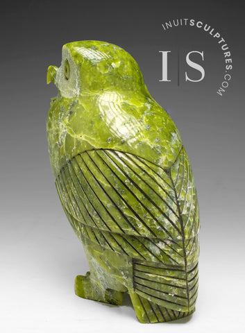 VERY LAST ONE - 8" SIGNATURE Owl by the Late Pits Qimirpik (1956-2024) *Irish Eyes*