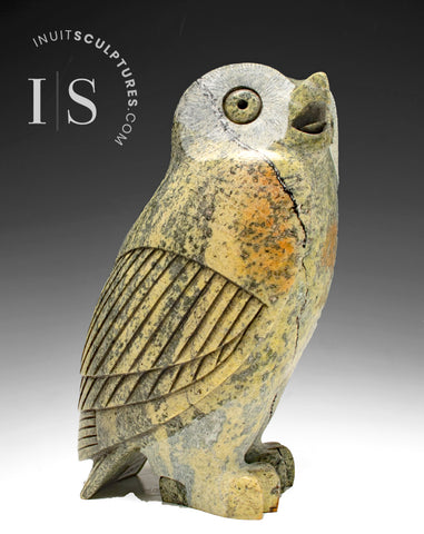 7" SIGNATURE Owl by Pits Qimirpik  *Neil Degrasse*