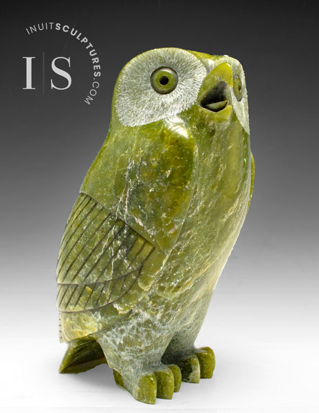 VERY LAST ONE - 8" SIGNATURE Owl by the Late Pits Qimirpik (1956-2024)