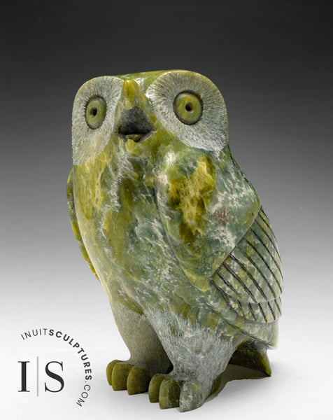 6" SIGNATURE Owl by Pits Qimirpik