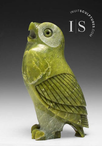 DERNIER HIBOU 6" SIGNATURE Owl par Pits Qimirpik (1968 -2024) *Shrek*