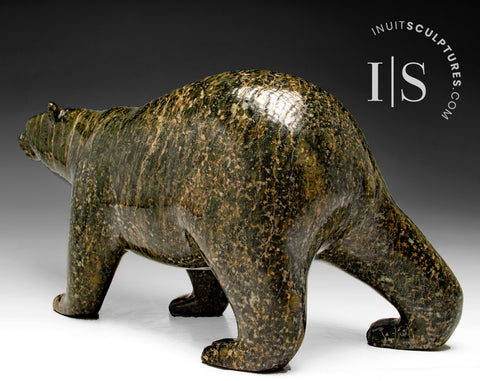 13" SIGNATURE Walking Bear by Tim Pee