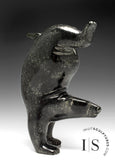 6” SIGNATURE Diving Bear by Tim Pee *Magic in Motion*