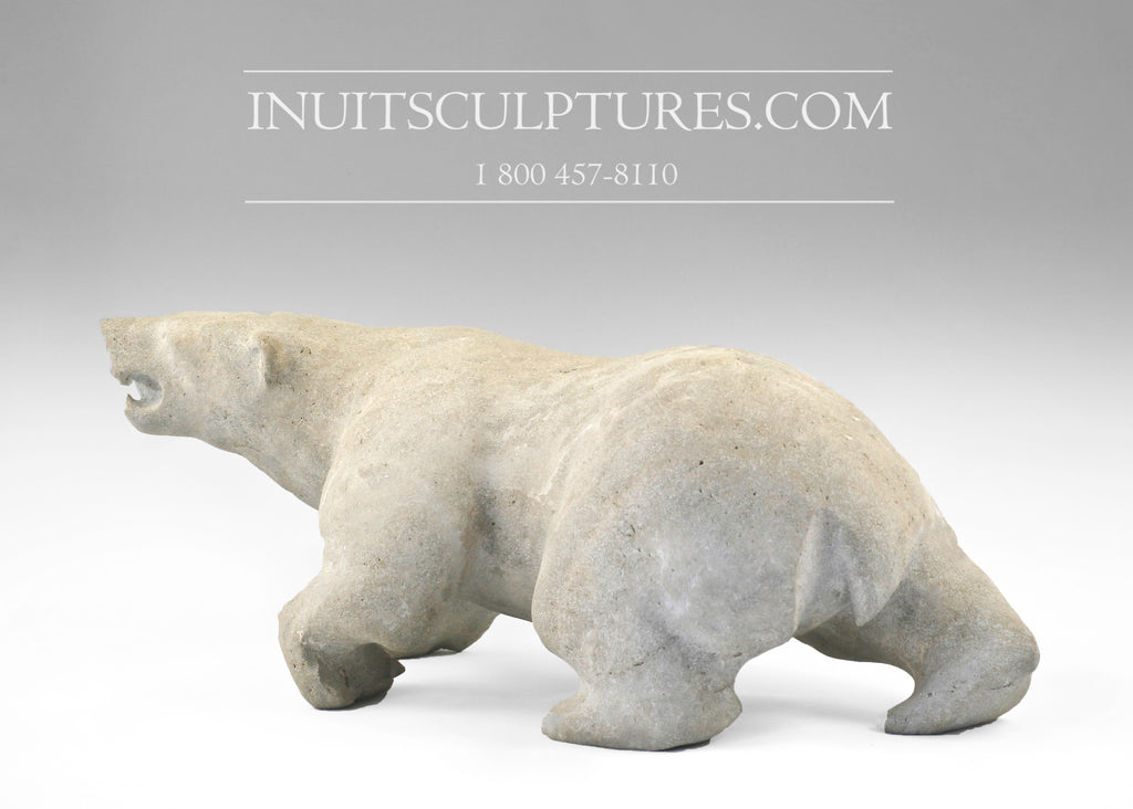 Polar Bear And Cub by Guan – HomeLess Made