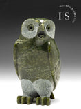 5" SIGNATURE Owl by Pitseolak Qimirpik *Shamrock*